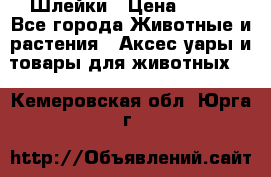 Шлейки › Цена ­ 800 - Все города Животные и растения » Аксесcуары и товары для животных   . Кемеровская обл.,Юрга г.